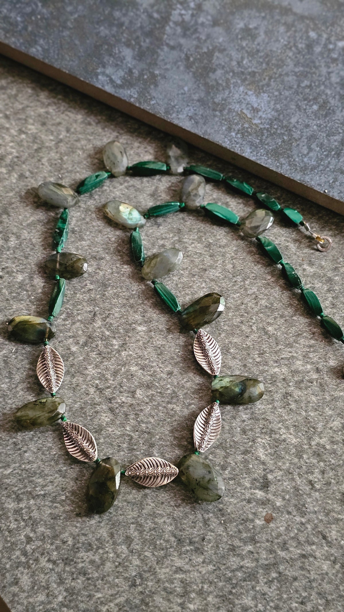 WILD FERN| SOUL STRUNG