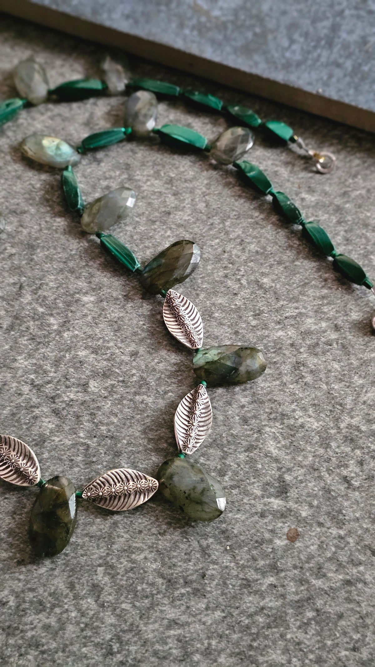 WILD FERN| SOUL STRUNG