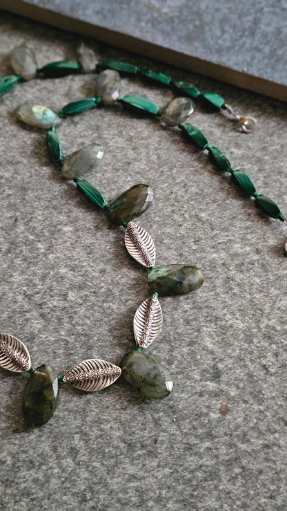WILD FERN| SOUL STRUNG
